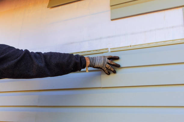 Best Aluminum Siding Installation  in Alton, IL